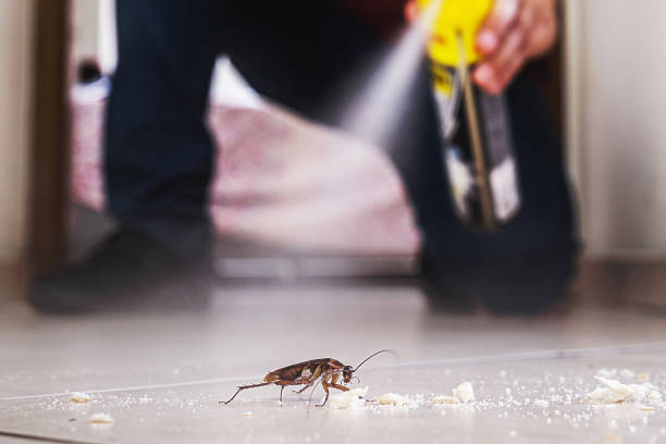 Best Ant Control Services  in West Branch, IA